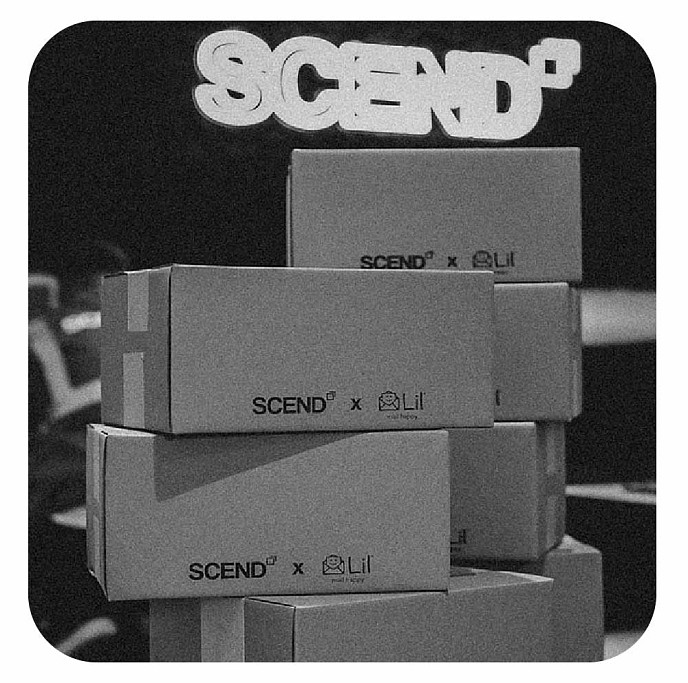 scend boxes